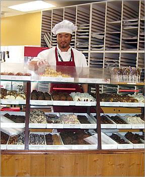 Candy Bears' Lair, What to do in Jasper Alberta.