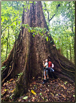 Corcovado, one of Costa Rica's top National Parks.