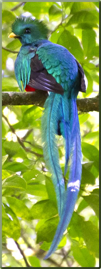 Resplendent Quetzal, Costa Rica guidebook author, James Kaiser, shares his top picks of the country's national parks.