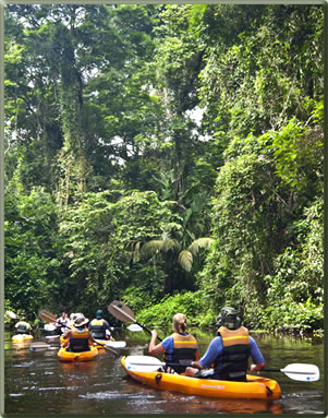 Kayaking on Tortuguero's rivers, Costa Rica's top National Parks.
