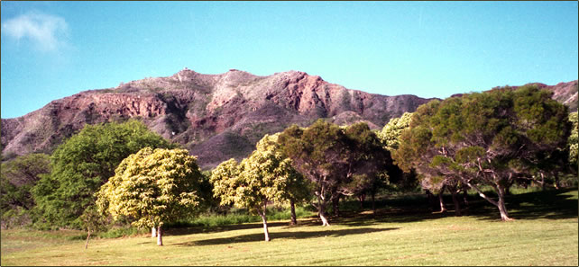 Interior of Diamond Head volcano crater near Honolulu, Oahu, Hawaii.
