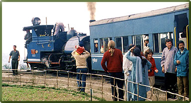 Darjeeling Himalayan Railway, Darjeeling cultural travel, Margaret Deefholts, Haunting India, historic India travel.