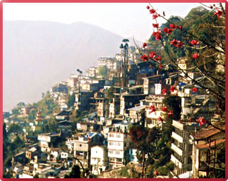Darjeeling Himalayan Railway, Darjeeling cultural travel, Margaret Deefholts, Haunting India, historic India travel.