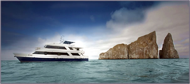 Ecoventura Galapagos Island eco-cruises with birds and wildlife.