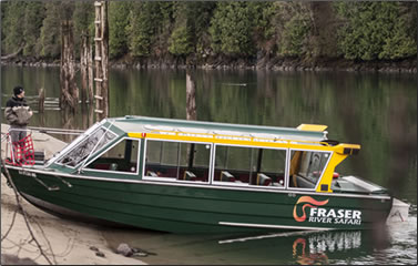 Fraser River Safari tour boat does eagle watching excursions.