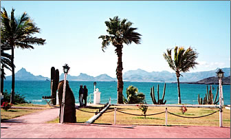 Sea of Cortez scenery.