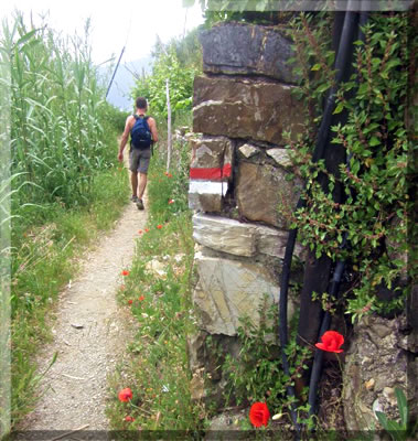 Cinque Terre National Park travel and accommodation in Italy.