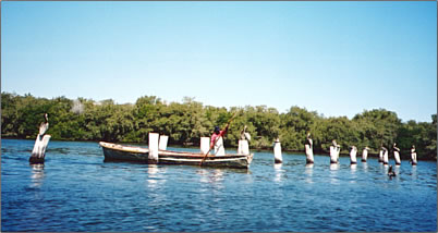 Mayo indians are a part of Mexican culture and tourism.