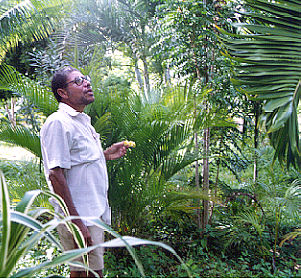 Horiticultural advisor in Barbados
