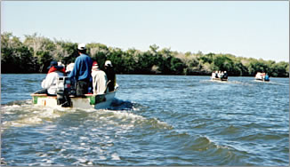 Mayo native-run boats guide visitors into their estuary for nature pictures and encounters.