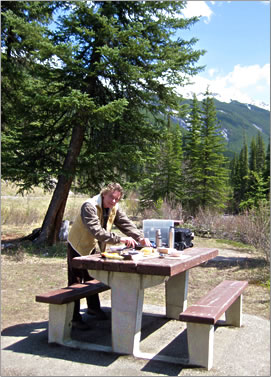 Watchable Wildlife Tours, Jasper National Park Canadian Rockies.