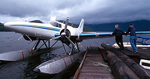 Wildlife tours in British Columbia by sea plane.