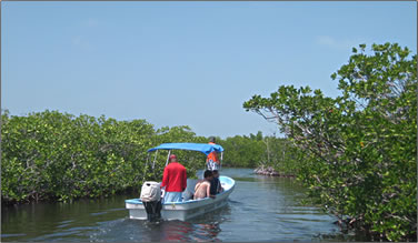 Natural waterways and canals of Sian Kaan Biosphere Reserve.