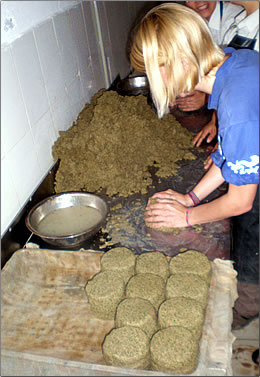 Volunteer on China conservation holiday prepares food for giant pandas.