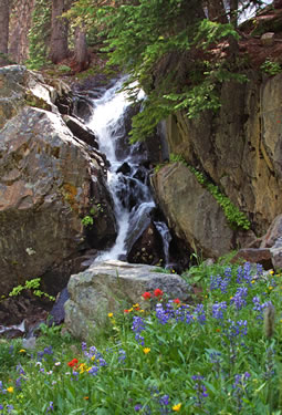 Waterfall at Cathedral Provincial Park, British Columbia outdoor adventure travel.
