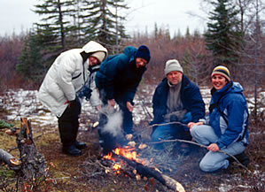 Polar bear watching vacations in Canadian Arctic.