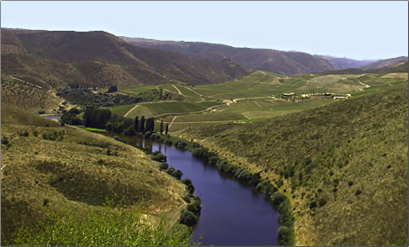 Portugal's Coa River Valley landscape.