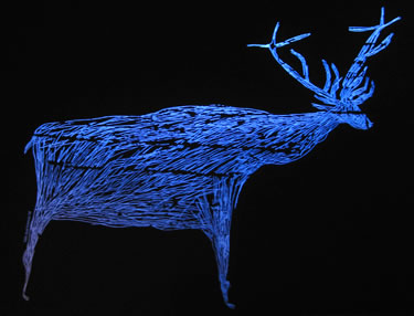 Rock art rendering of a prehistoric deer that once populated Portugal's Coa Valley.