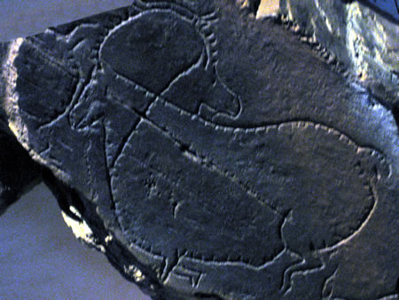 prehistoric rock art in northeastern Portugal's Coa Valley.