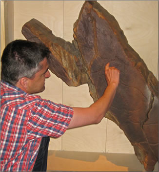 Museum tour of Coa Valley Archaeological Park, Portugal.
