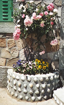 A roadside garden decorated with scallop shells