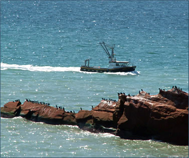 Fishing and lobster fishing are important elements of the economy for Les Iles de la Madeleine, Quebec Magdalen Islands travel.