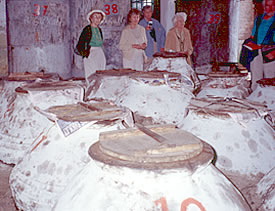 Adatepe Olive Oil Museum, Agri-tourism in Turkey