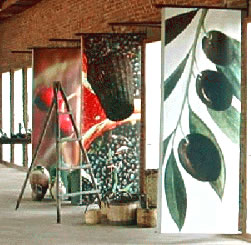 Adatepe Olive Oil Museum, Agri-tourism in Turkey