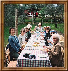 Lunch in an country olive orchard in Turkey.
