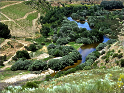 Ice Age settlement site in Portugal's Coa Valley.