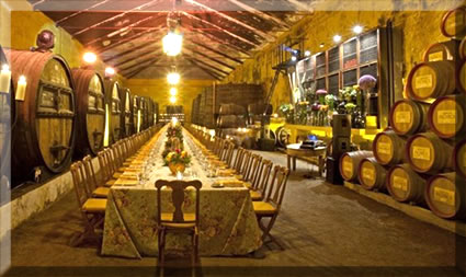 Wine cellar and tasting room at the Quinta da Pacheca, Portugal.