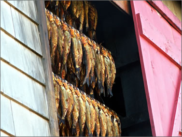 Traditional herring smokehouse on Magdalen Islands, Les Iles de la Madeleine.