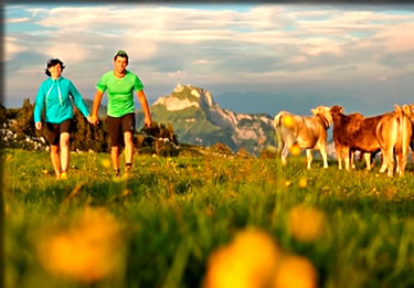 The King's Route is one of 18 multi-day routes for cycling, hiking and canoeing throughout the country.