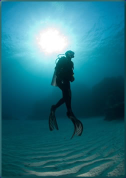 Thailand diving and snorkeling holidays.