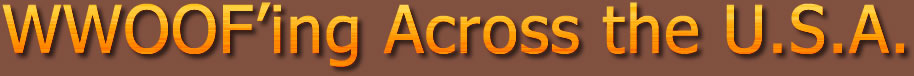 WWOOF Volunteers Support Organic Farming Across the U.S.A.