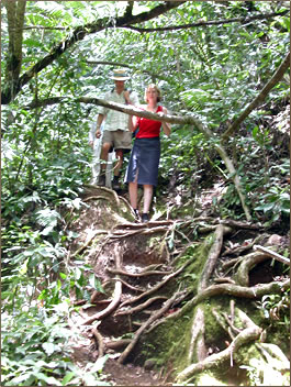 Vacationers on nature tours of Rarotonga, Cook Islands.
