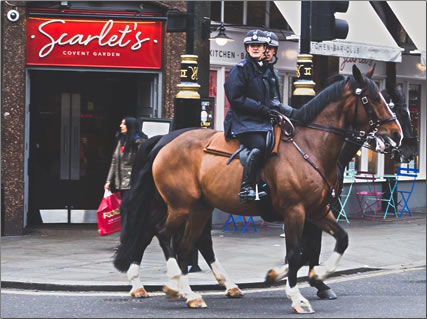 Unseen Tours of London, England give homeless people a chance to tell their story and earn a living as guides.