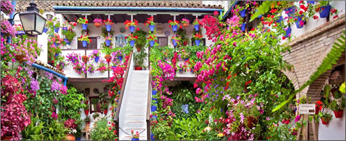 Festival-De-Los-Patios