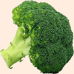 Broccoli